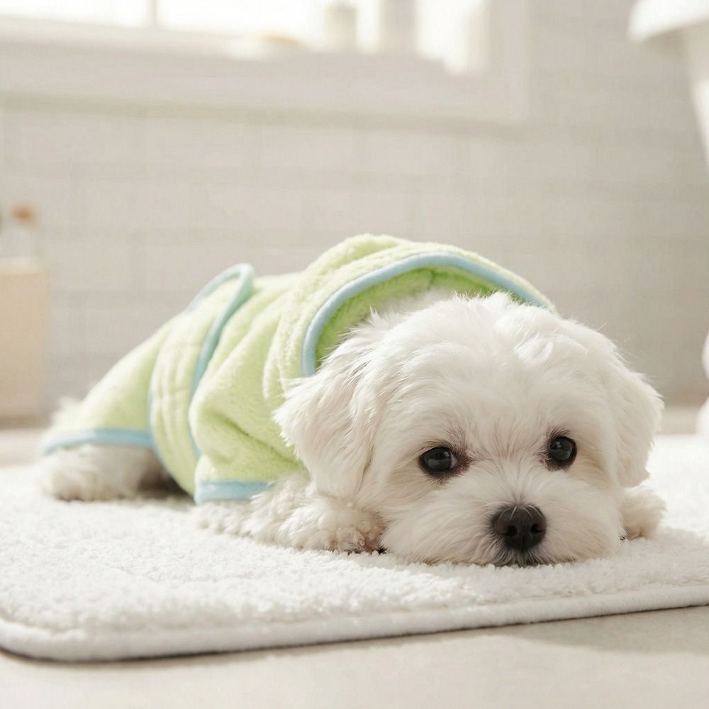 Accappatoio Super Assorbente p - Hooded Bath Towel recensione e prezzo